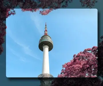 South Korea Visa Process in Qatar