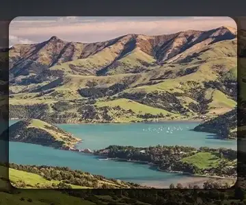 New Zealand Visa process in Qatar