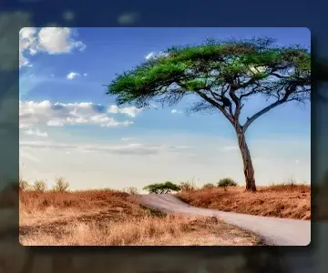 South Africa visa process in Qatar